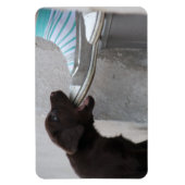 Hungry Brown Labrador Puppy Magnet (Vertikal)
