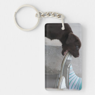 Hungry Brown Labrador Puppy Schlüsselanhänger
