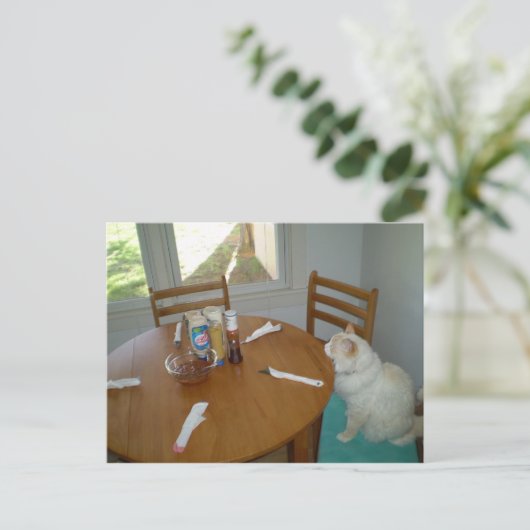 Hungry Cat Postkarte (Stehend Vorderseite)