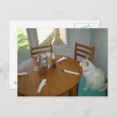Hungry Cat Postkarte (Vorne/Hinten)