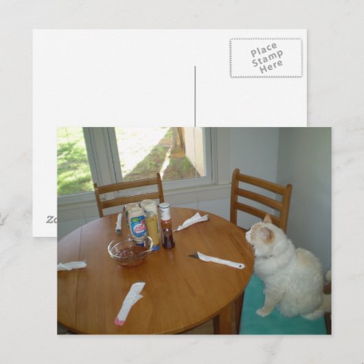 Hungry Cat Postkarte (Vorne/Hinten)