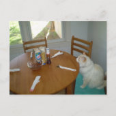 Hungry Cat Postkarte (Vorderseite)