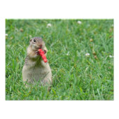 Hungry Chipmunk Fotodruck (Vorne)