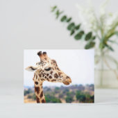 HUNGRY GIRAFFE POSTKARTE (Stehend Vorderseite)