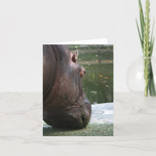 Hungry Hippo Notecard Karte