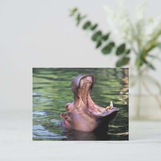 Hungry Hippo Postkarte (Stehend Vorderseite)