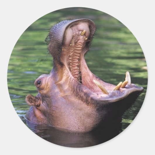 Hungry Hippo Runder Aufkleber (Vorderseite)
