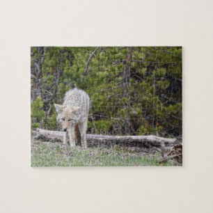 Hungry Like a Wolf - Yellowstone - 8x10 - 110 Stk. Puzzle