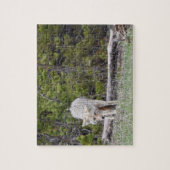 Hungry Like a Wolf - Yellowstone - 8x10 - 110 Stk. Puzzle (Vertikal)