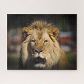 Hungry Lion Puzzle (Horizontal)