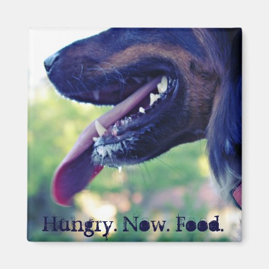 Hungry Magnet für Kühlschrank (Vorne)