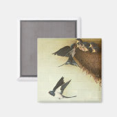 Hungry Mouths 2011 Magnet (Vorderseite/Rückseite)