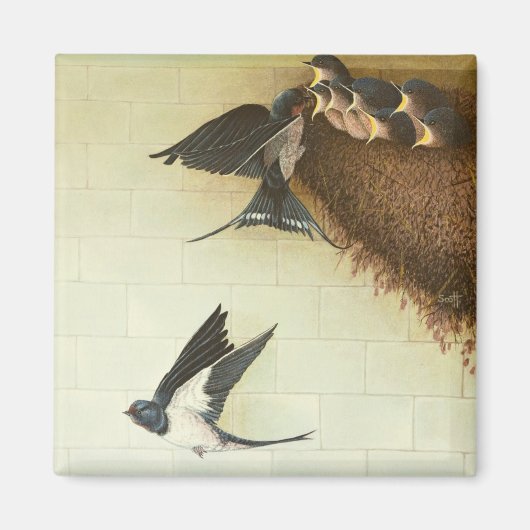 Hungry Mouths 2011 Magnet (Vorne)