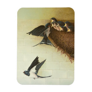 Hungry Mouths 2011 Magnet