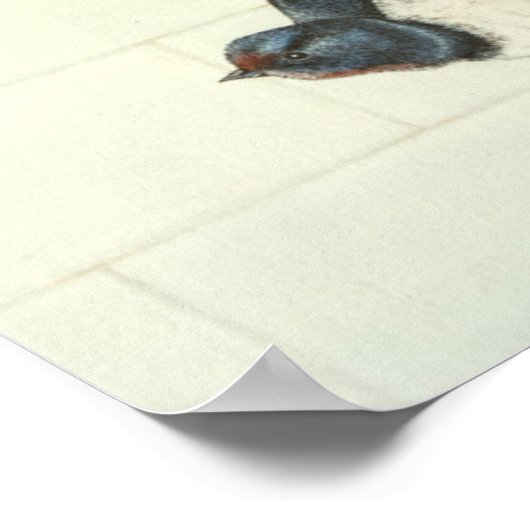 Hungry Mouths 2011 Poster (Ecke)