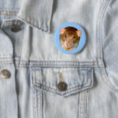 Hungry Rat Button (Beispiel)