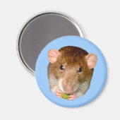 Hungry Rat Magnet (Vorderseite/Rückseite)