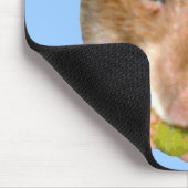 Hungry Rat Mousepad (Ecke)