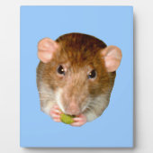 Hungry Rat Plaque Fotoplatte (Vorderseite)