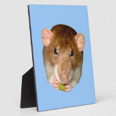 Hungry Rat Plaque Fotoplatte (Seite)