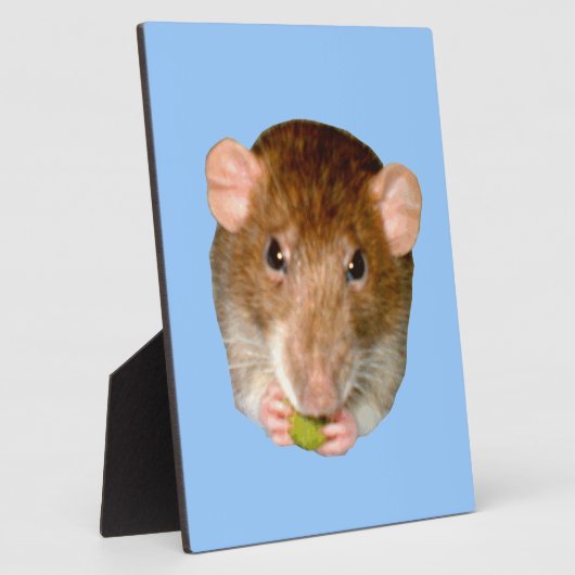 Hungry Rat Plaque Fotoplatte (Seite)