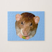 Hungry Rat Puzzle (Horizontal)