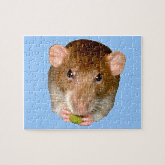Hungry Rat Puzzle (Horizontal)