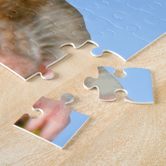 Hungry Rat Puzzle (Seite)