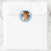 Hungry Rat Sticker (Tasche)