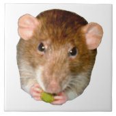 Hungry Rat Tile Fliese (Vorderseite)