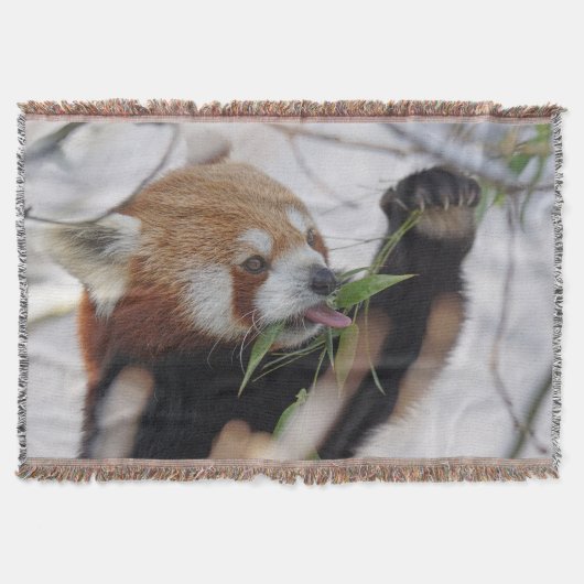 Hungry Red Panda Decke (Vorderseite)