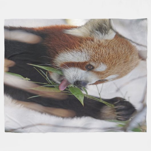Hungry Red Panda Fleecedecke (Vorderseite (Horizontal))