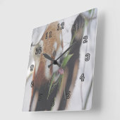 Hungry Red Panda Quadratische Wanduhr (Winkel)
