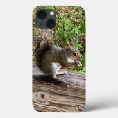 Hungry Squirrel iPhone Fälle Case-Mate iPhone Hülle (Rückseite)