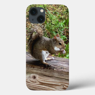 Hungry Squirrel iPhone Fälle Case-Mate iPhone Hülle