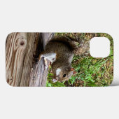 Hungry Squirrel iPhone Fälle Case-Mate iPhone Hülle (Rückseite (Horizontal))