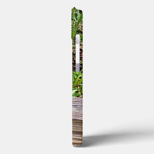 Hungry Squirrel iPhone Fälle Case-Mate iPhone Hülle (Rückseite / Links)