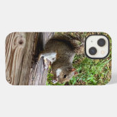 Hungry Squirrel iPhone Fälle Hülle (Rückseite (Horizontal))