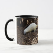Hungry White Meerkat, Tasse (Links)