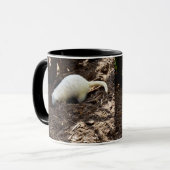 Hungry White Meerkat, Tasse (Vorderseite Links)
