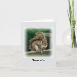 Hunguchhörnchen auf der Suche nach einer kostenlos Karte