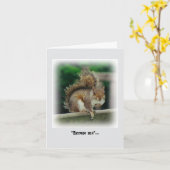 Hunguchhörnchen auf der Suche nach einer kostenlos Karte (Gelbe Blume)