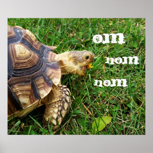 Hunguest Tortoise - "Om nom nom" Poster (Vorne)