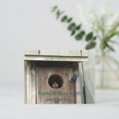 Hungy Baby Bird Sparrow Foto Postkarten (Stehend Vorderseite)