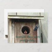 Hungy Baby Bird Sparrow Foto Postkarten (Vorne/Hinten)