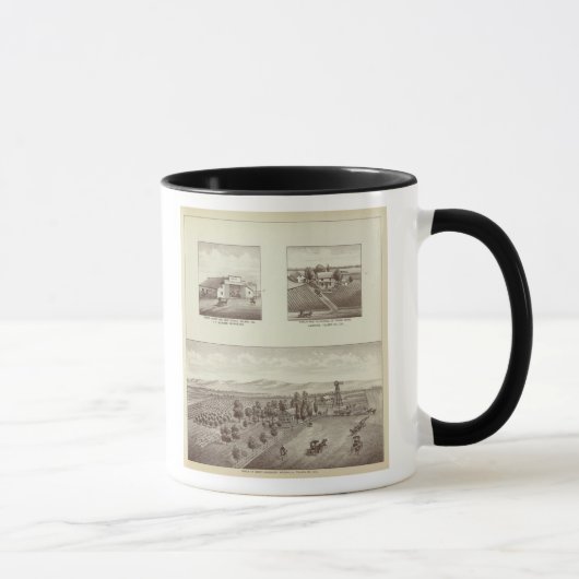 Hunsaker ranch, Woodville Tasse (Rechts)