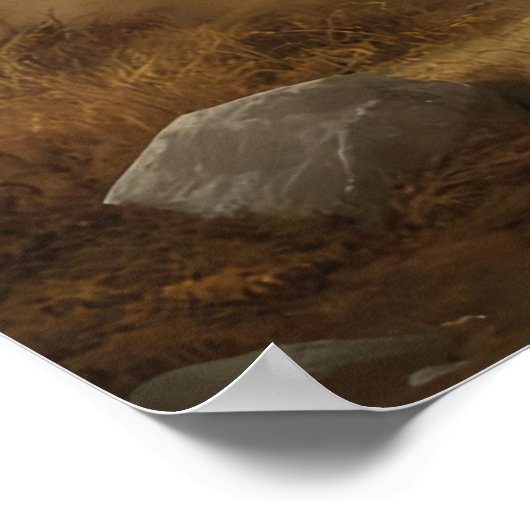 Hunt Gone Wrong Poster (Ecke)