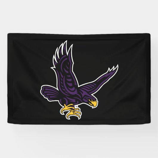 Hunter College Hawk Banner (Horizontal)