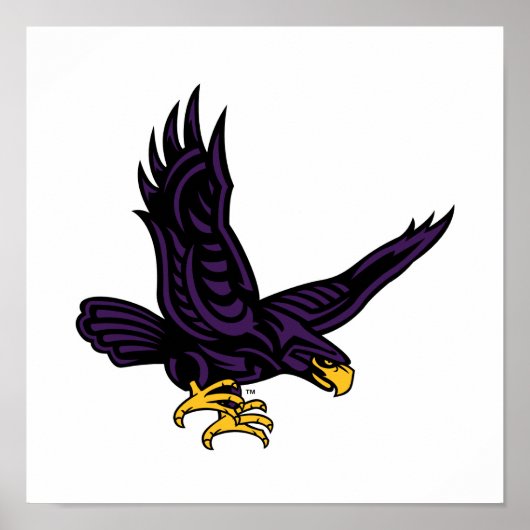 Hunter College Hawk Poster (Vorne)
