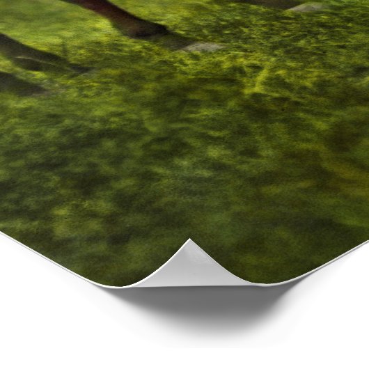 Hunter - Die Fuchsjagd - Tally-ho 1924 Poster (Ecke)